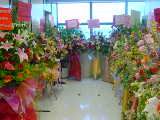 DSC00001.JPG